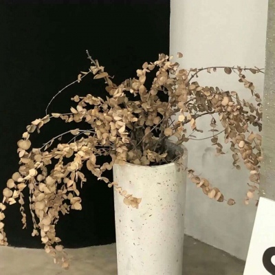 Furry插画光影营造兽圈社群